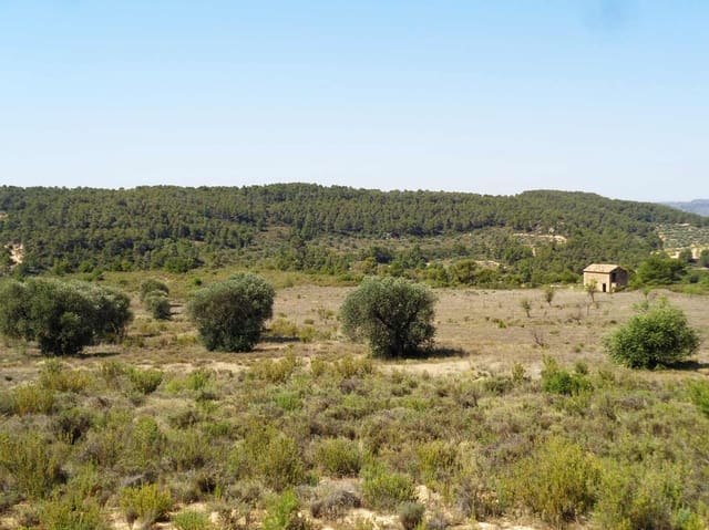 Finca/Maison de Campagne à vendre à Maella - 29 000 € (Ref: 10005919)