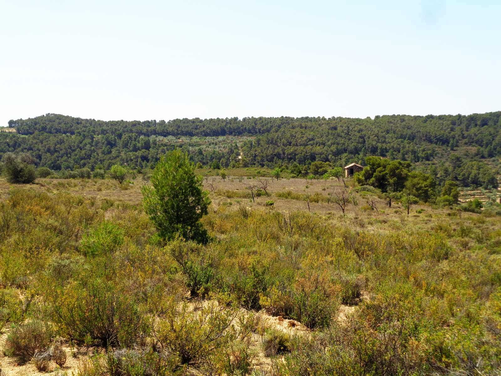 Finca/Casa Rural en Maella en venta - 29.000 € (Ref: 10005919)