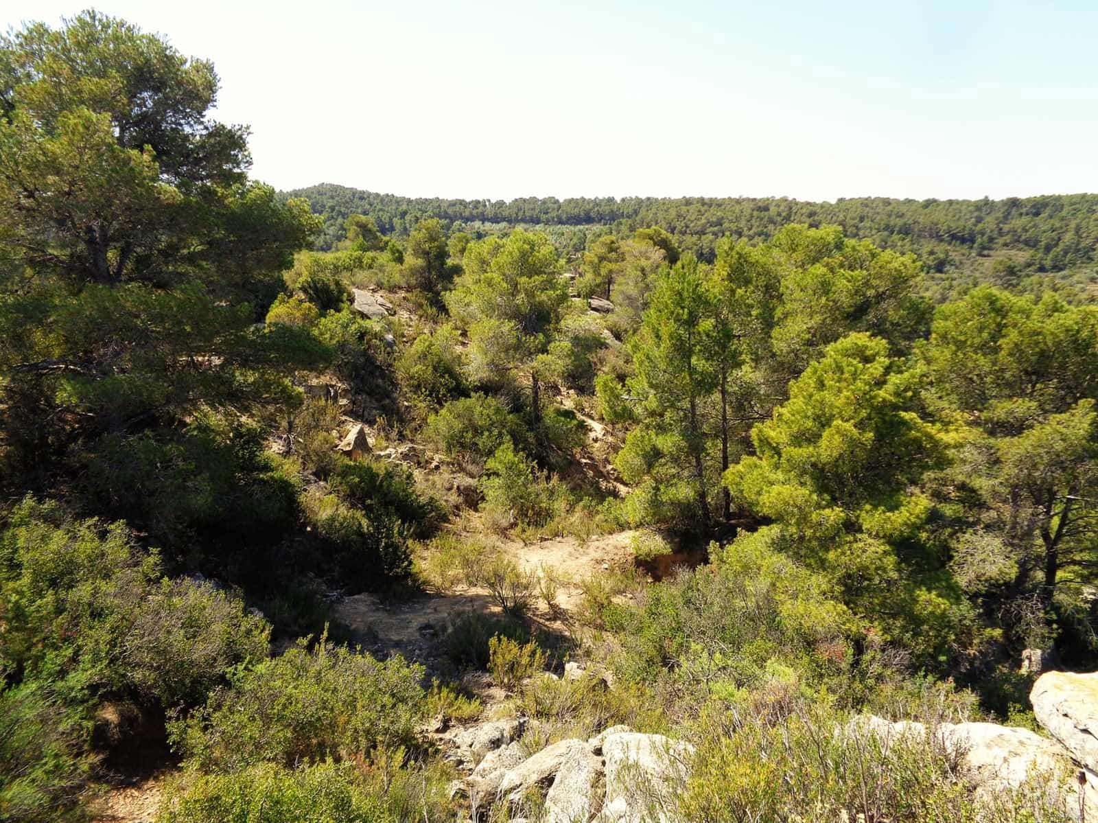 Finca/Casa Rural en Maella en venta - 29.000 € (Ref: 10005919)