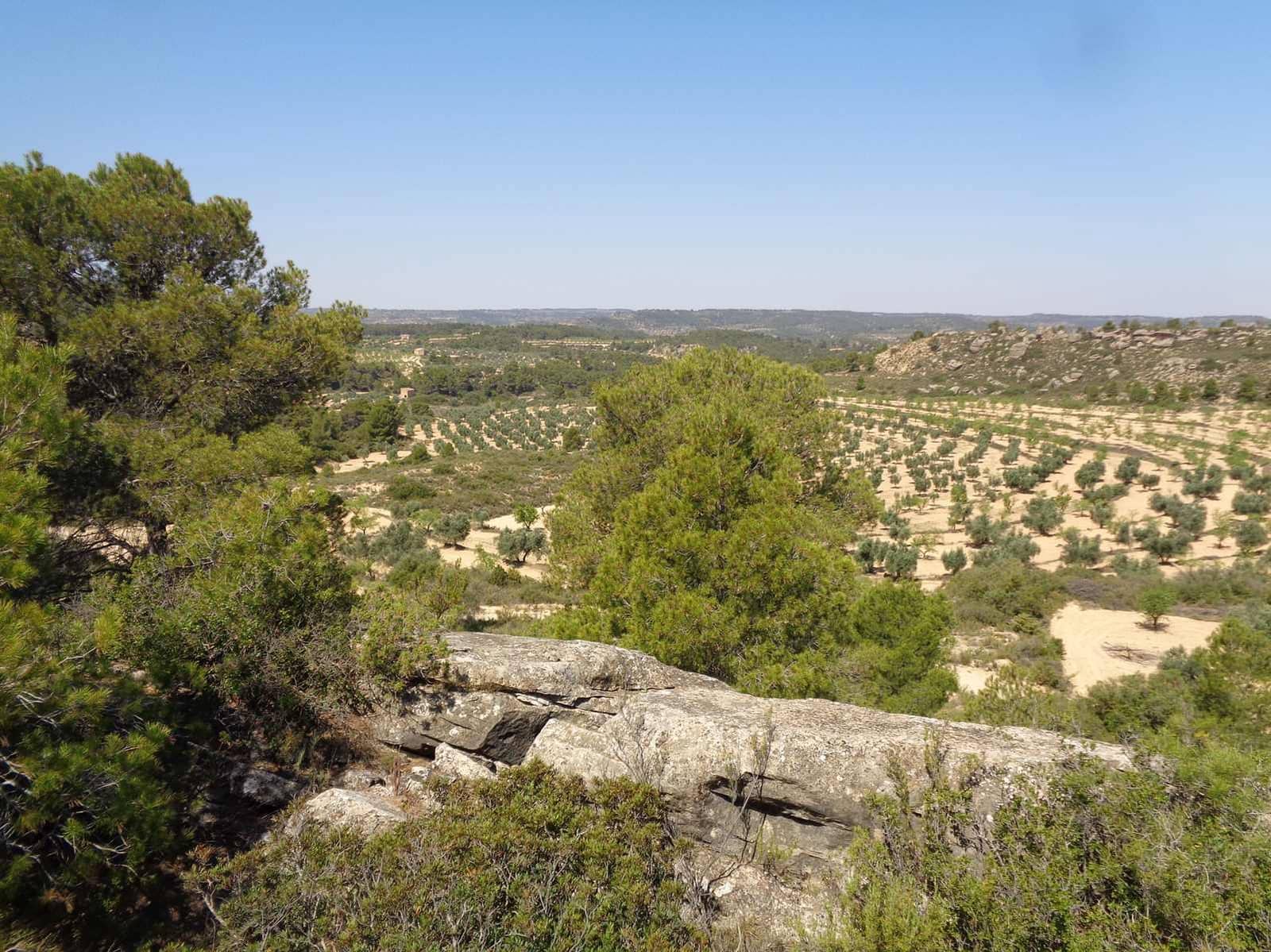 Finca/Casa Rural en Maella en venta - 29.000 € (Ref: 10005919)