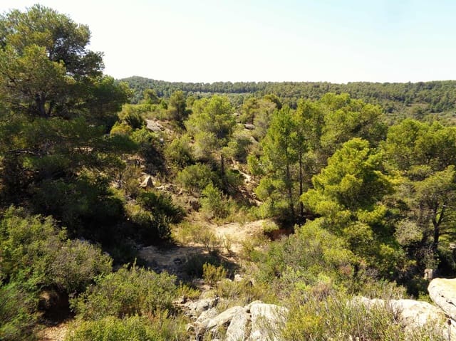 Finca/Country House for sale in Maella - € 29,000 (Ref: 10005919)