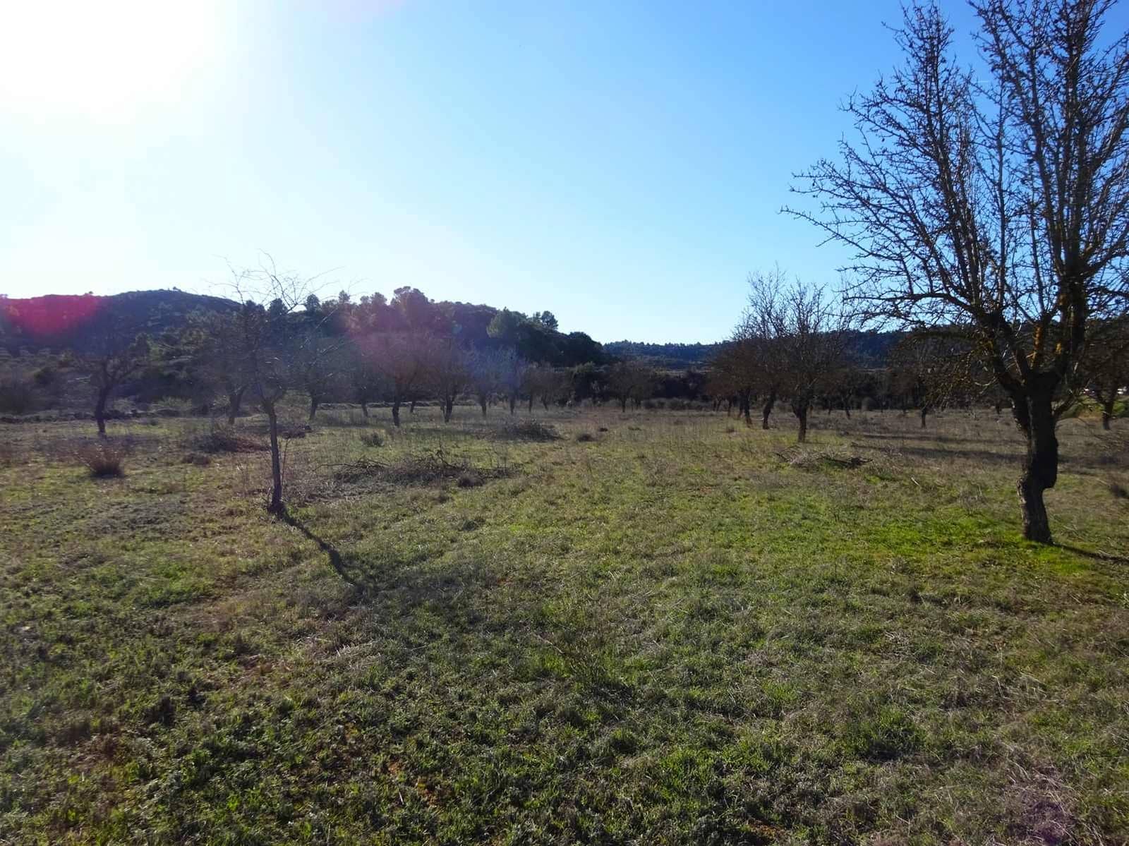 Finca/Country House for sale in Maella - € 21,500 (Ref: 10007754)