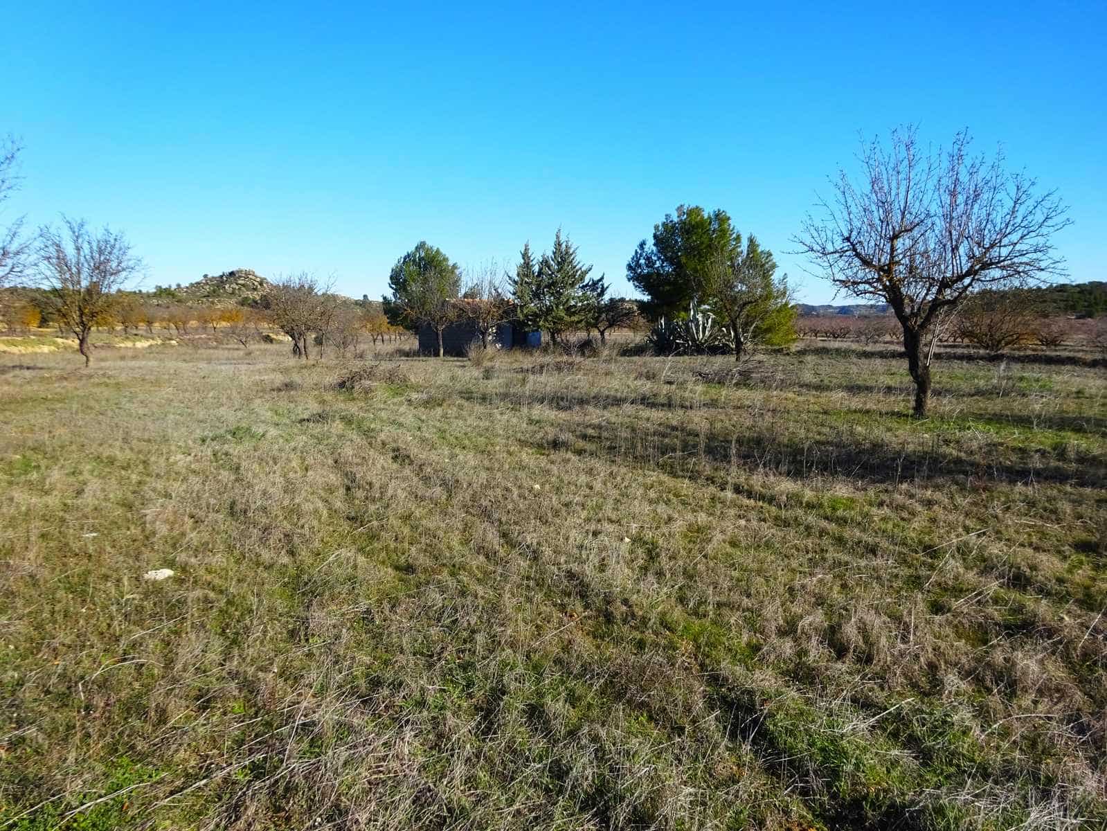 Finca/Country House for sale in Maella - € 21,500 (Ref: 10007754)