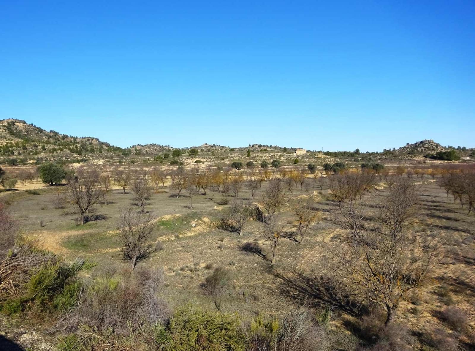 Finca/Country House for sale in Maella - € 21,500 (Ref: 10007754)