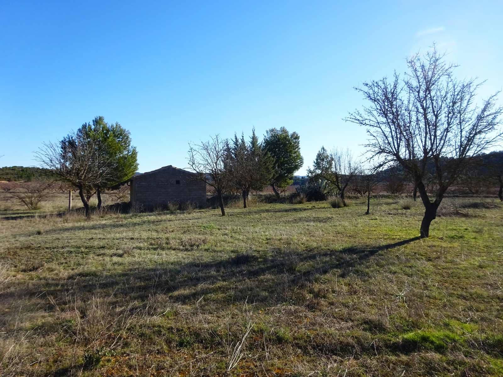 Finca/Country House for sale in Maella - € 21,500 (Ref: 10007754)