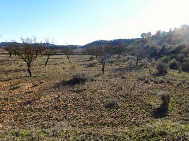 Finca/Country House for sale in Maella - € 21,500 (Ref: 10007754)
