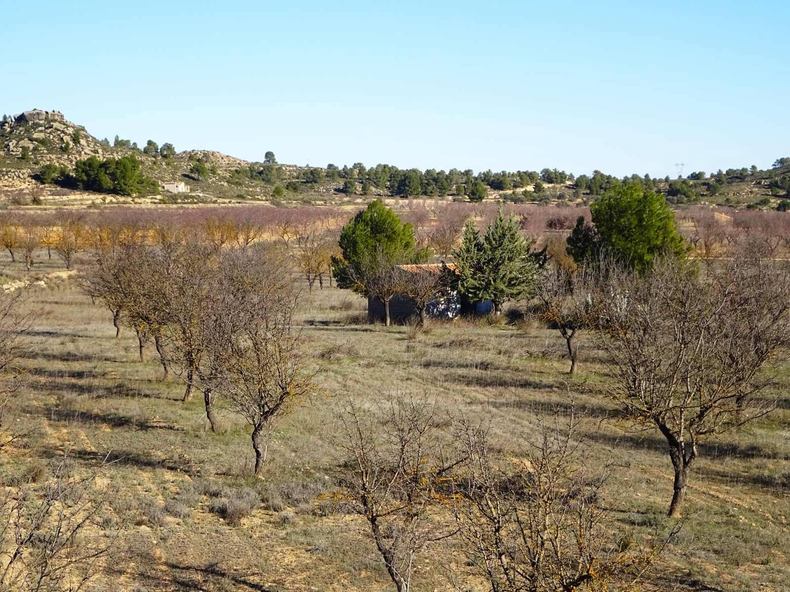 Finca/Country House for sale in Maella - € 21,500 (Ref: 10007754)