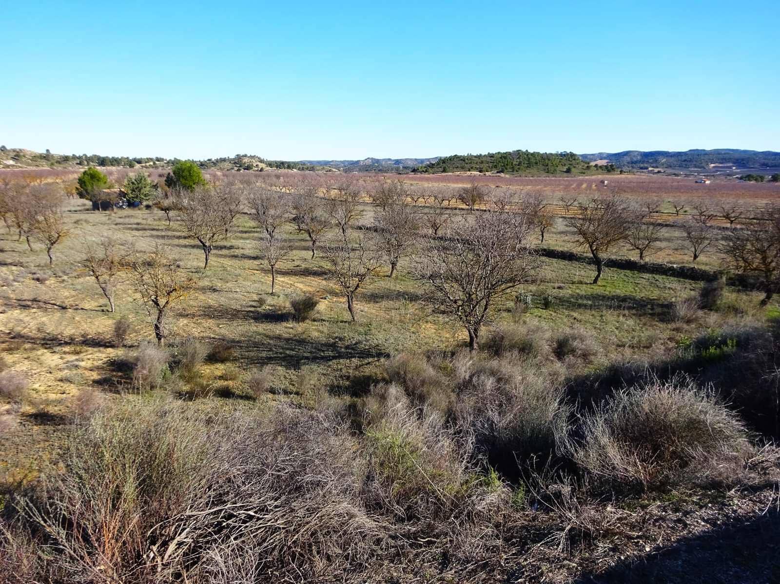 Finca/Country House for sale in Maella - € 21,500 (Ref: 10007754)