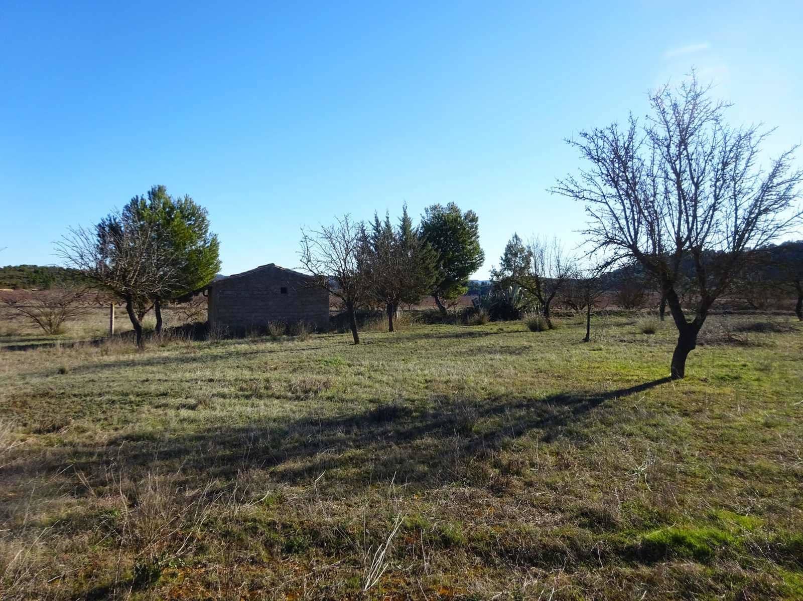 Finca/Landgut zu verkaufen in Maella - 21.500 € (Ref: 10007754)