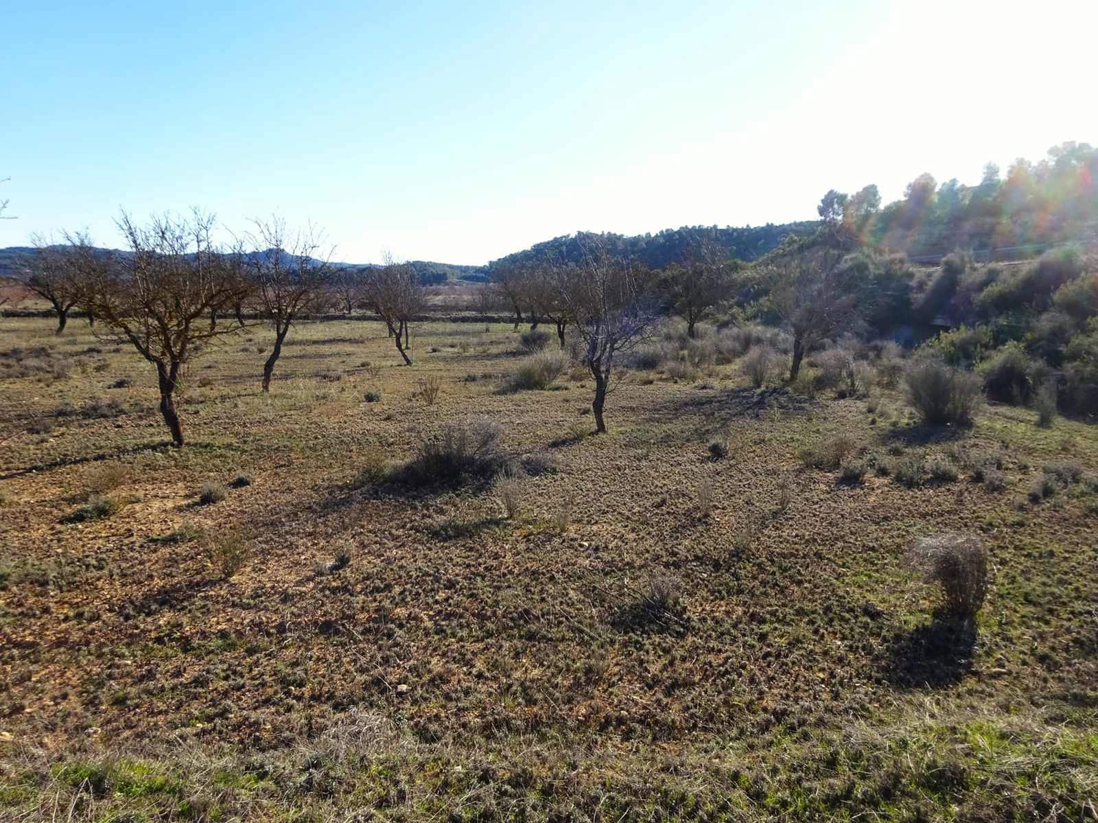 Finca/Landgut zu verkaufen in Maella - 21.500 € (Ref: 10007754)