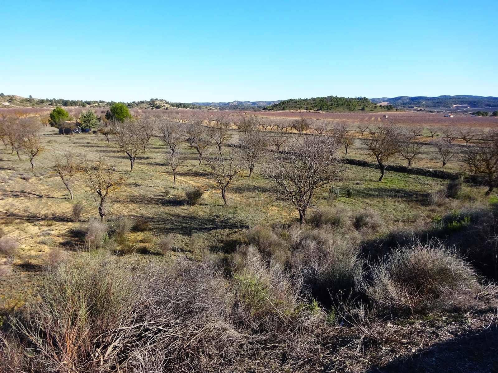 Finca/Landgut zu verkaufen in Maella - 21.500 € (Ref: 10007754)
