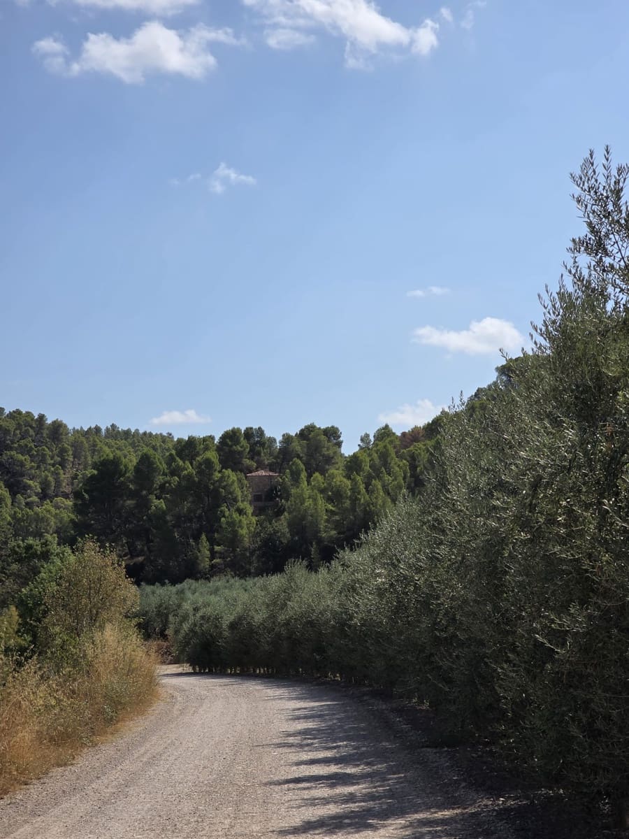 6 sypialnia Finka/Dom wiejski na sprzedaż w Torre del Compte z garażem - 290 000 € (Ref: 10037769)