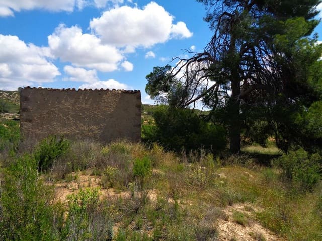 Finca/Casa Rural en Maella en venta - 48.000 € (Ref: 10091455)