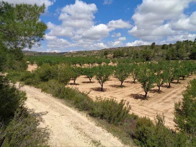 Finca/Casa Rural en Maella en venta - 48.000 € (Ref: 10091455)