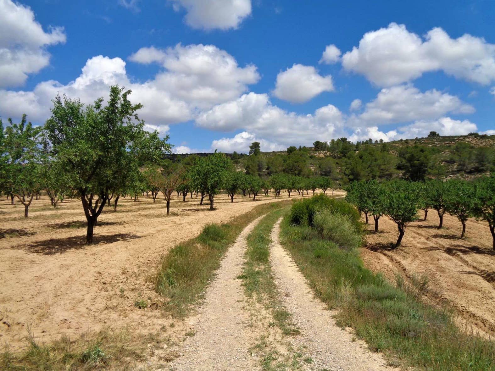 Finca/Casa Rural en Maella en venta - 48.000 € (Ref: 10091455)