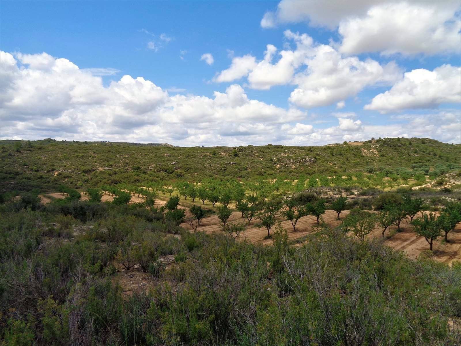 Finca/Casa Rural en Maella en venta - 48.000 € (Ref: 10091455)