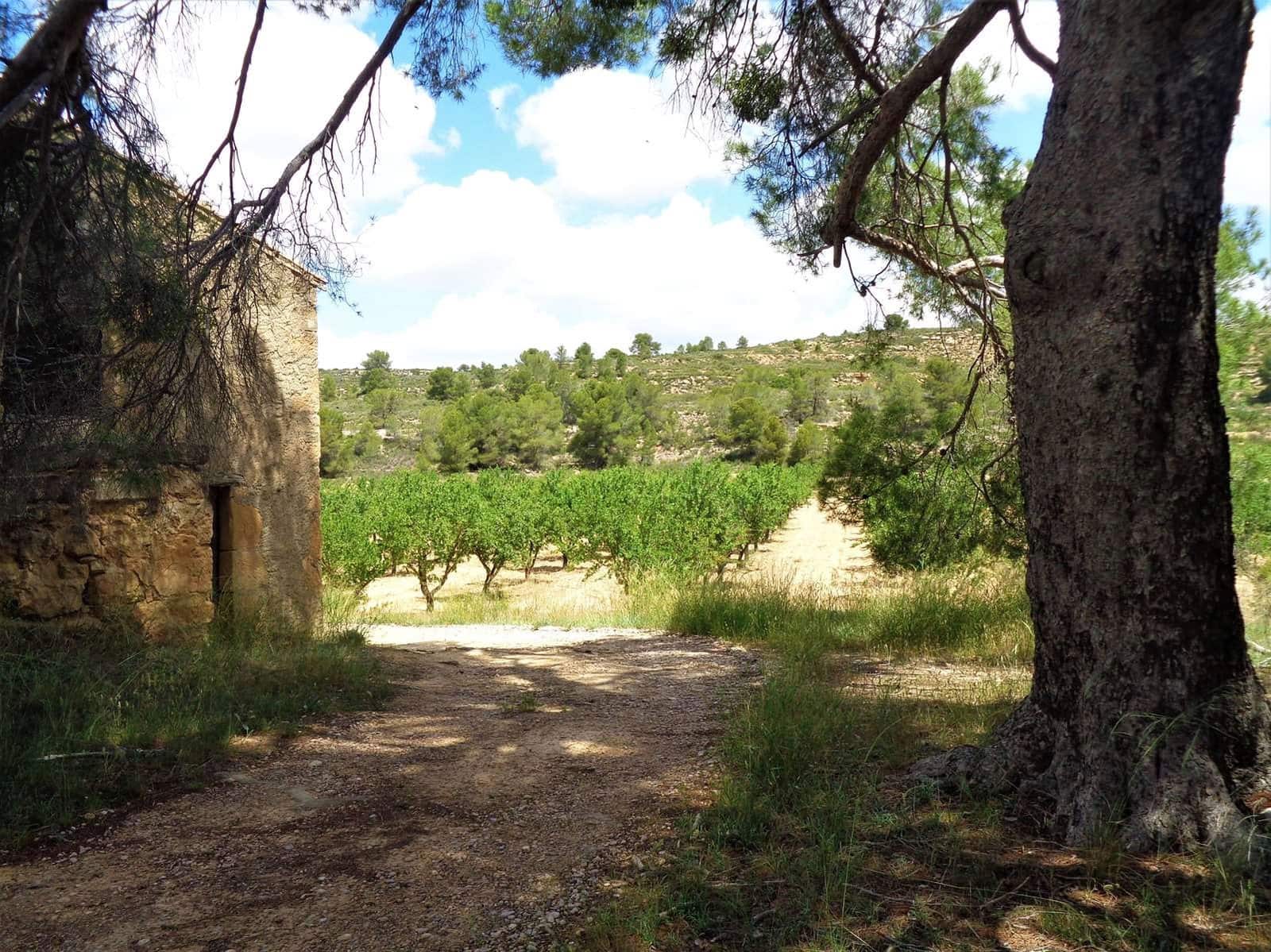 Finca/Casa Rural en Maella en venta - 48.000 € (Ref: 10091455)