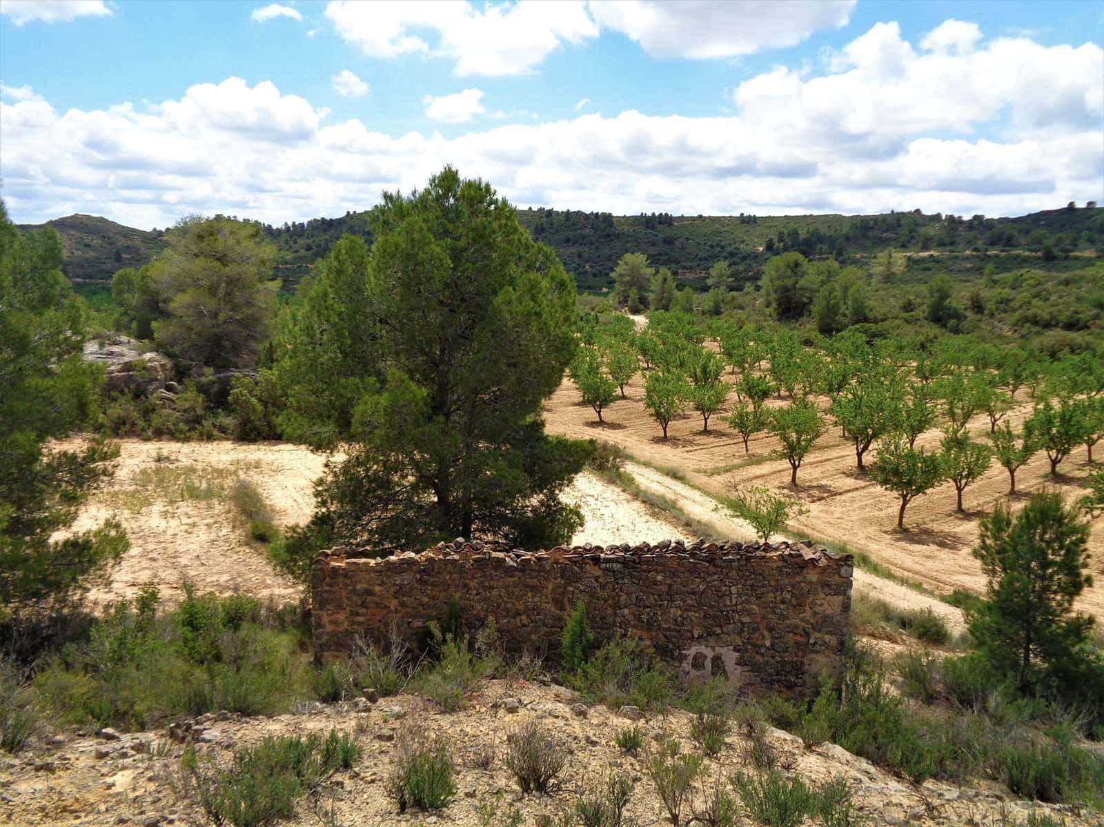 Finca/Casa Rural en Maella en venta - 48.000 € (Ref: 10091455)