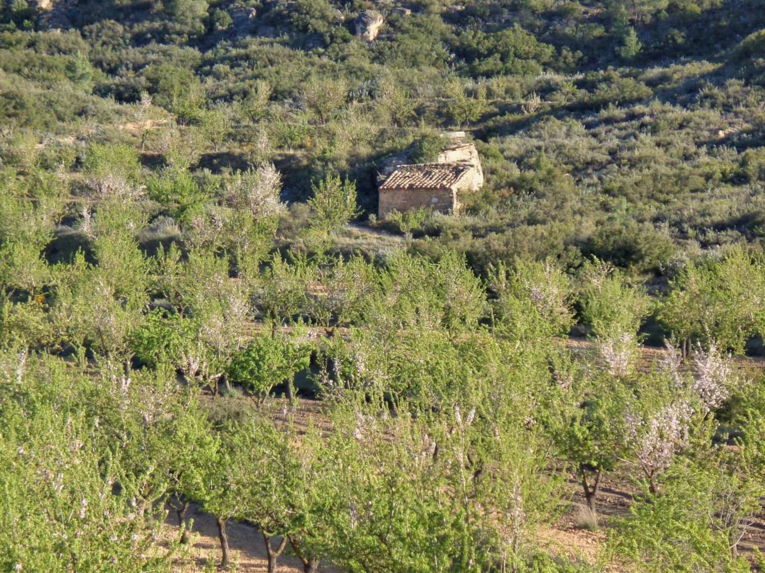Finca/Casa Rural en Maella en venta - 48.000 € (Ref: 10091455)