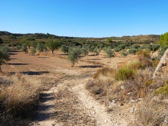 Finca/Casa Rural en Maella en venta - 16.500 € (Ref: 10091456)
