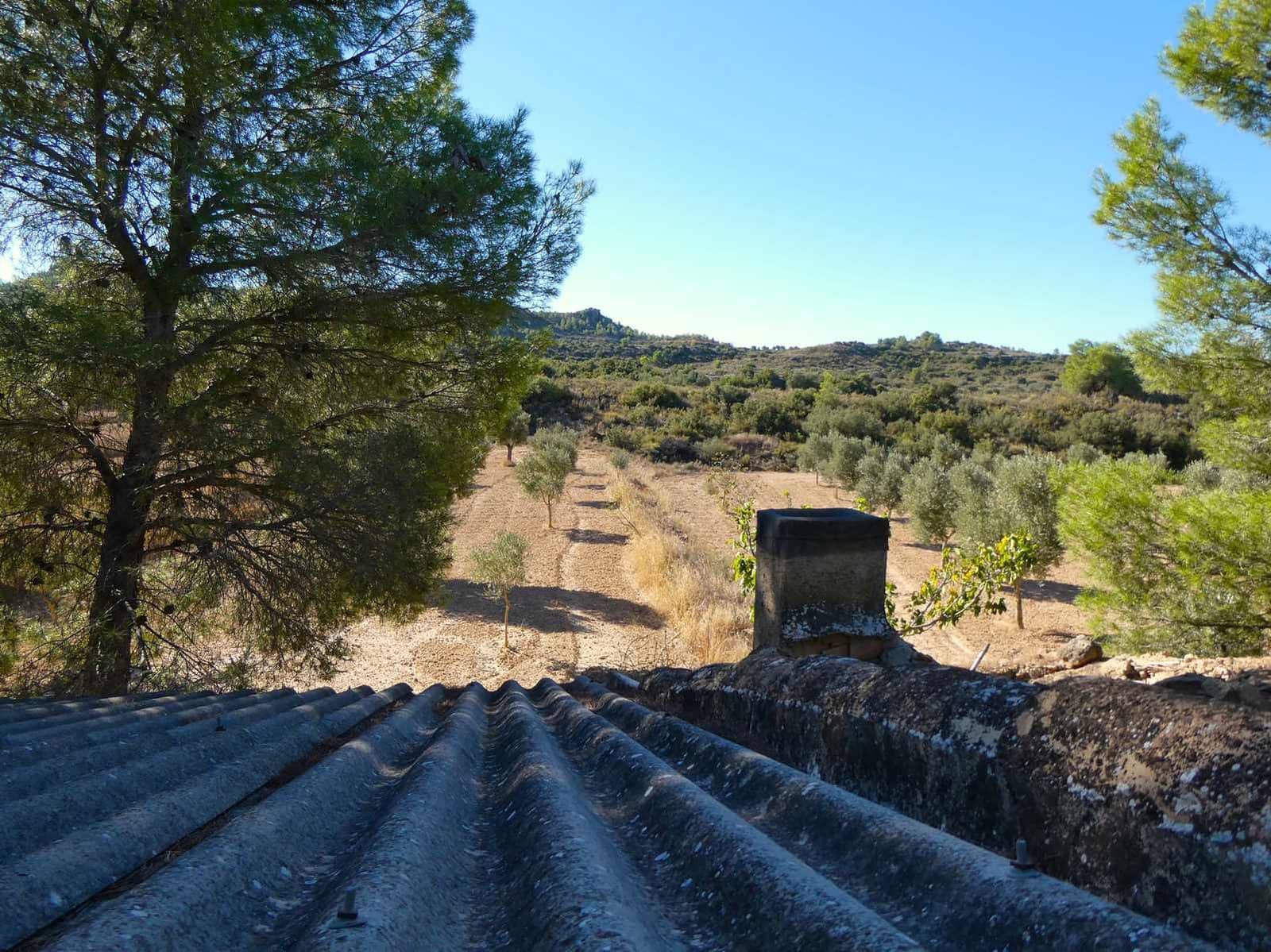 Finca/Casa Rural en Maella en venta - 16.500 € (Ref: 10091456)