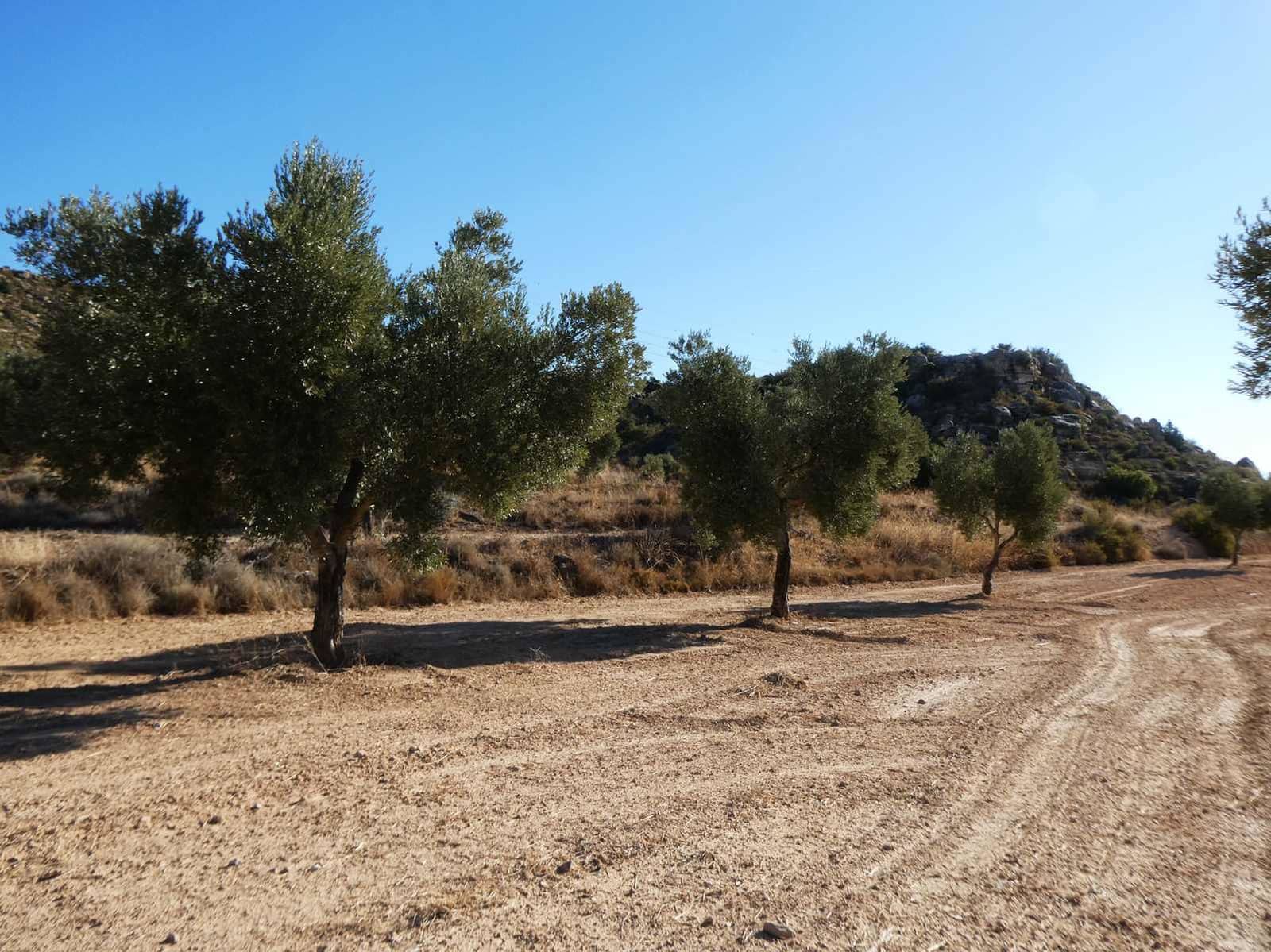 Finca/Casa Rural en Maella en venta - 16.500 € (Ref: 10091456)
