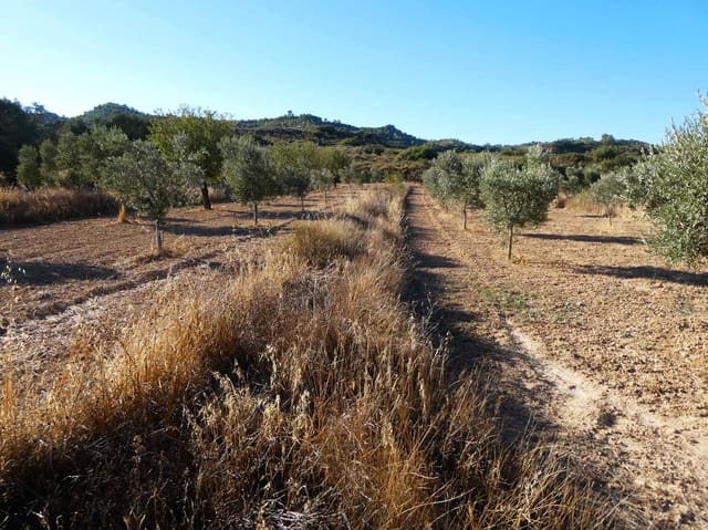 Finca/Casa Rural en Maella en venta - 16.500 € (Ref: 10091456)