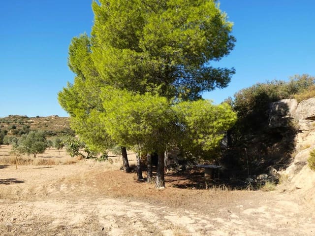 Finca/Casa Rural en Maella en venta - 16.500 € (Ref: 10091456)