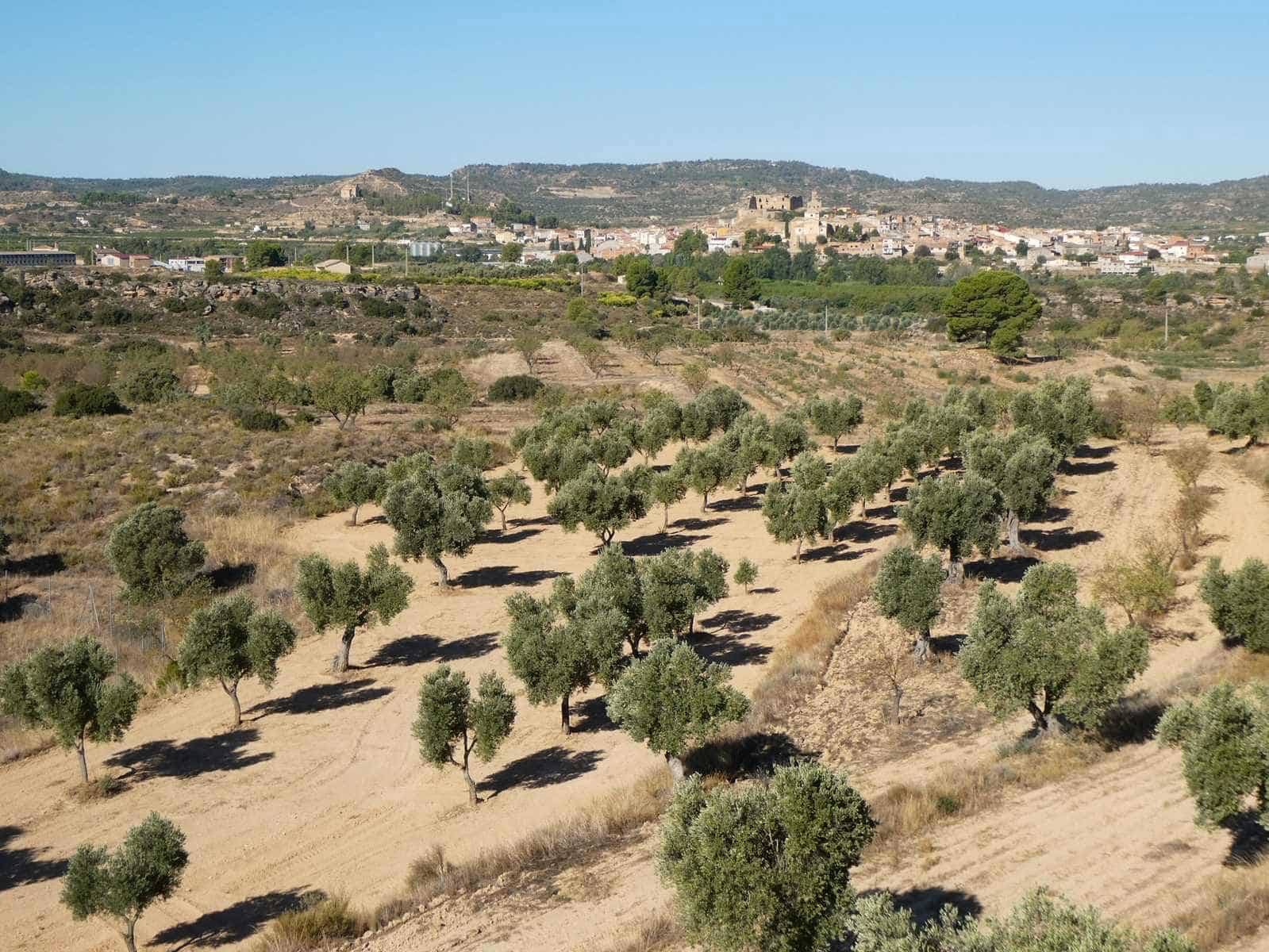 Finca/Casa Rural en Maella en venta - 16.500 € (Ref: 10091456)