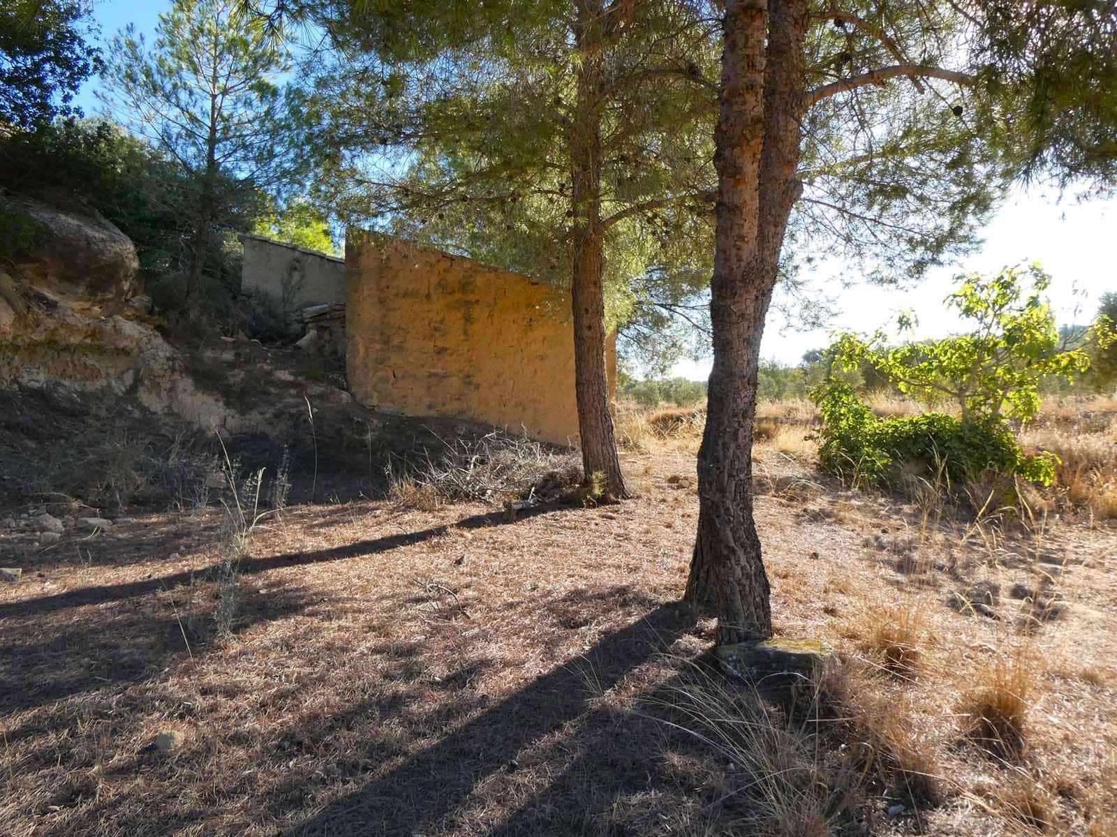 Finca/Casa Rural en Maella en venta - 16.500 € (Ref: 10091456)