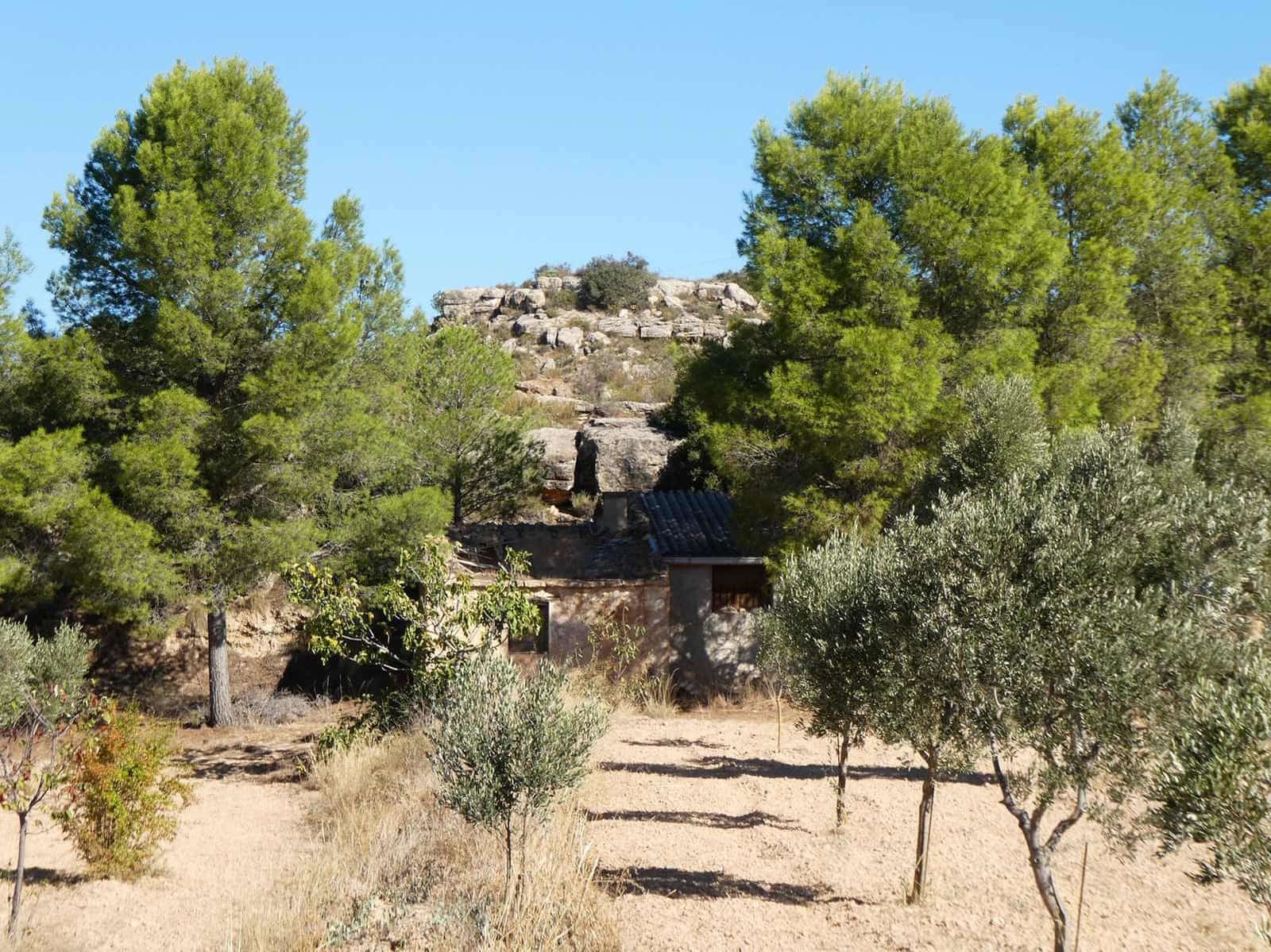 Finca/Casa Rural en Maella en venta - 16.500 € (Ref: 10091456)