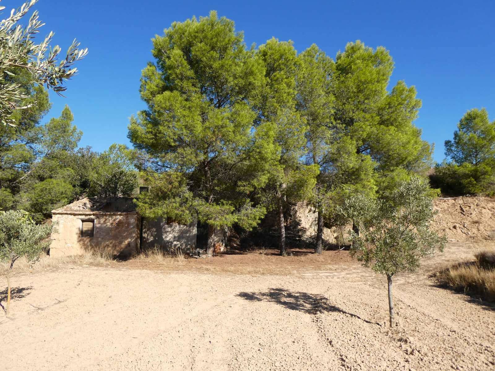 Finca/Casa Rural en Maella en venta - 16.500 € (Ref: 10091456)