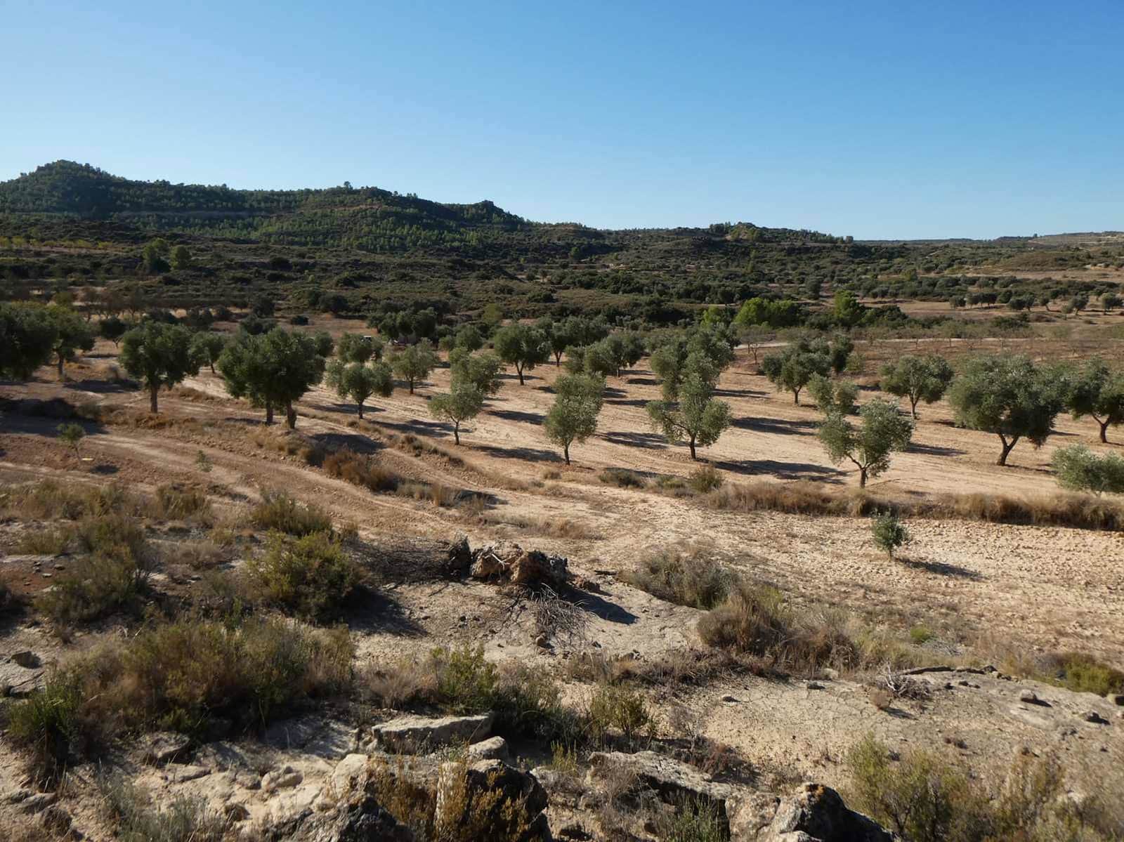 Finca/Casa Rural en Maella en venta - 16.500 € (Ref: 10091456)