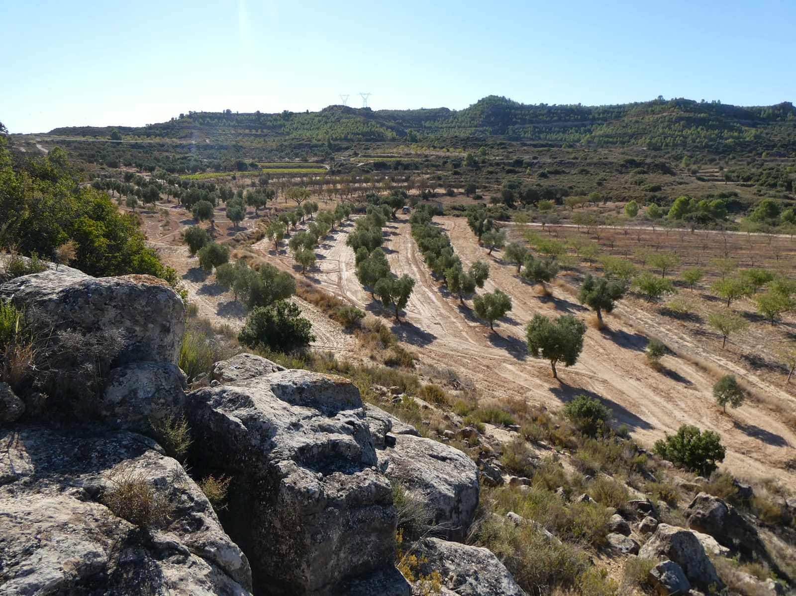Finca/Casa Rural en Maella en venta - 16.500 € (Ref: 10091456)