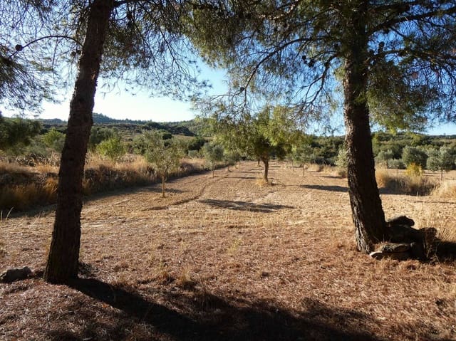 Finca/Casa Rural en Maella en venta - 16.500 € (Ref: 10091456)