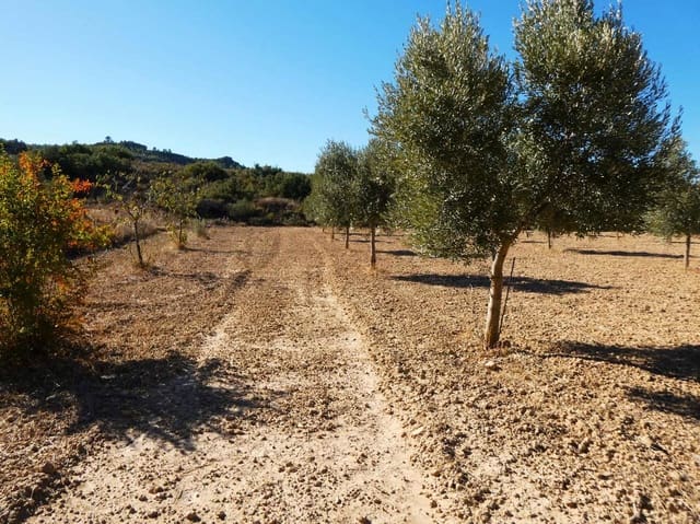 Finca/Casa Rural en Maella en venta - 16.500 € (Ref: 10091456)