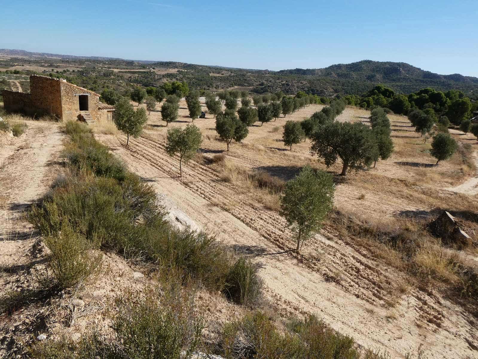 Finca/Casa di Campagna in vendita in Maella - 27.000 € (Rif: 10150139)