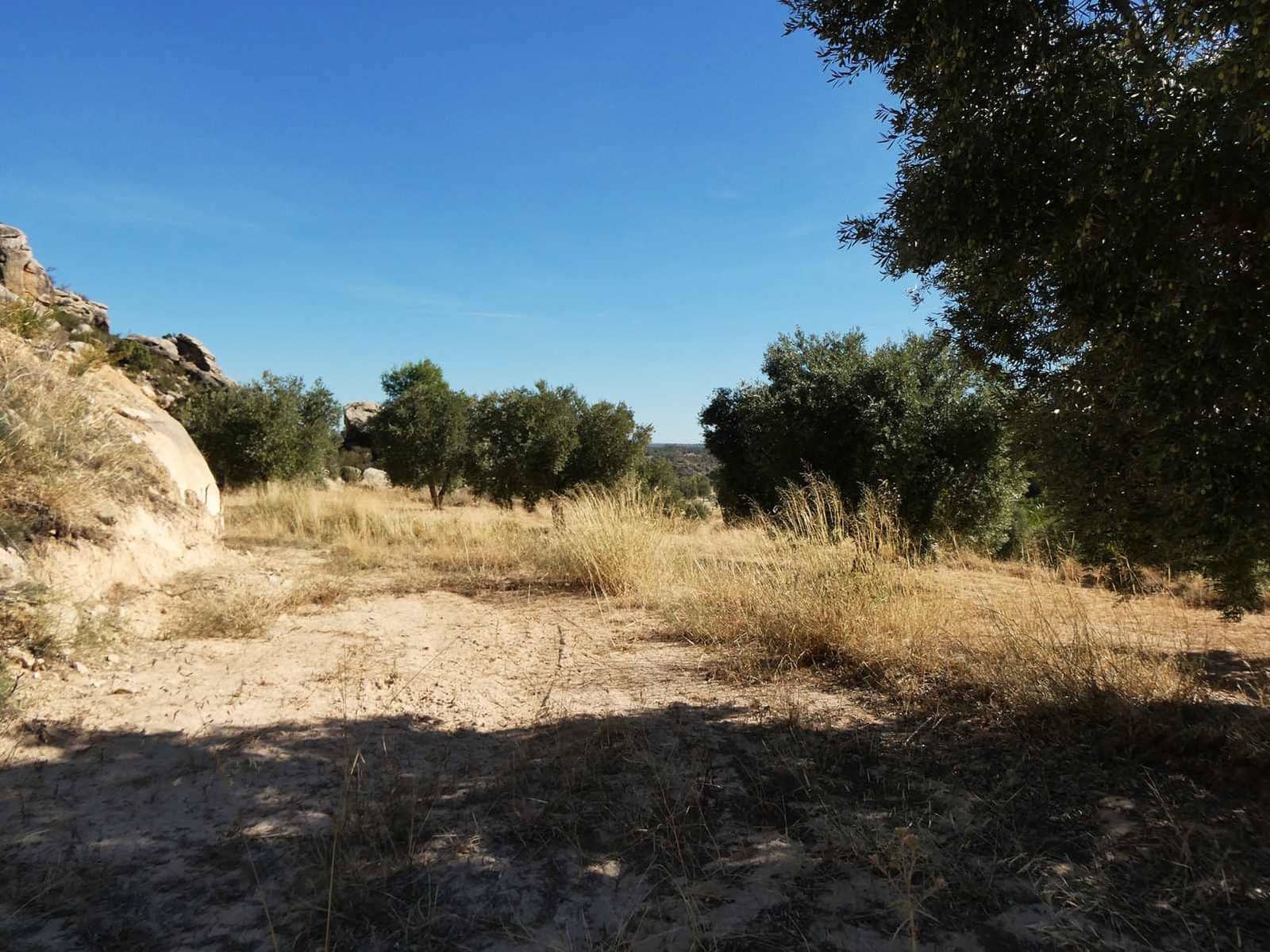 Finca/Casa di Campagna in vendita in Maella - 27.000 € (Rif: 10150139)