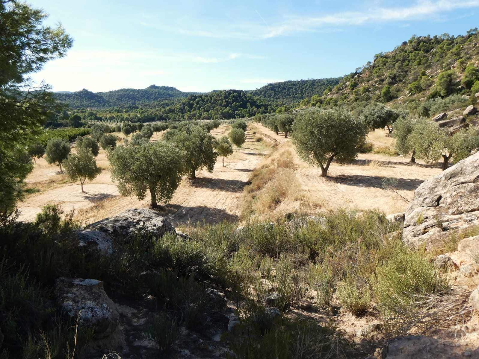Finca/Casa di Campagna in vendita in Maella - 27.000 € (Rif: 10150139)