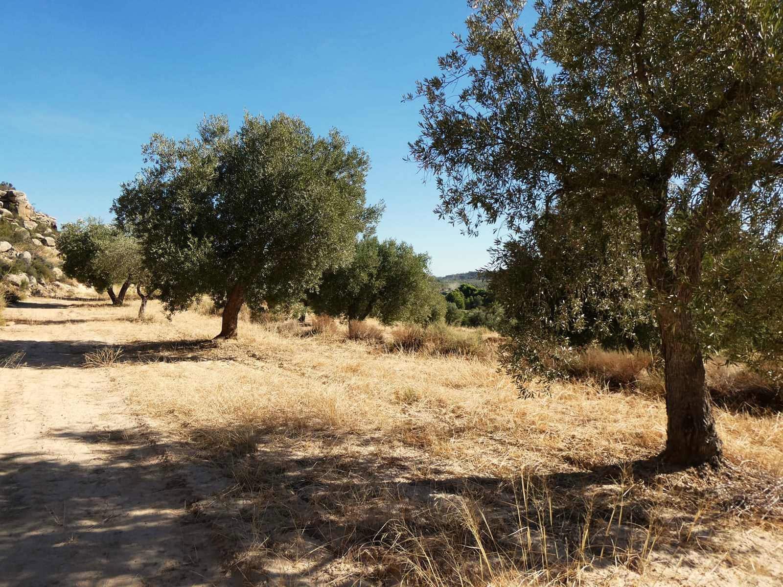 Finca/Casa di Campagna in vendita in Maella - 27.000 € (Rif: 10150139)