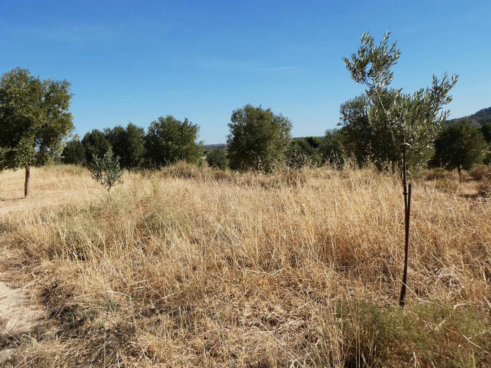 Finca/Casa di Campagna in vendita in Maella - 27.000 € (Rif: 10150139)
