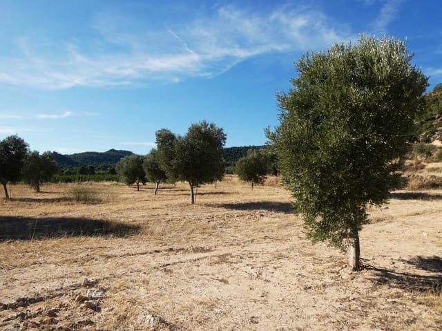 Finca/Casa di Campagna in vendita in Maella - 27.000 € (Rif: 10150139)