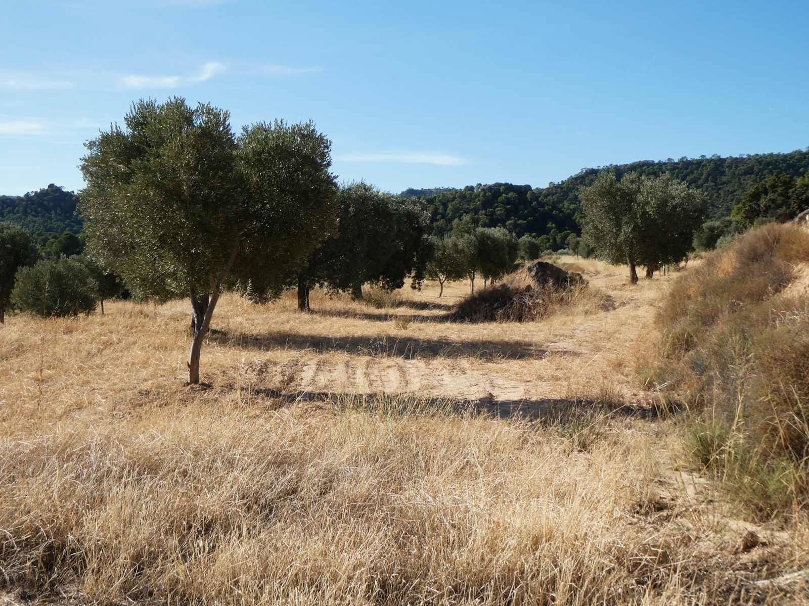 Finca/Casa di Campagna in vendita in Maella - 27.000 € (Rif: 10150139)