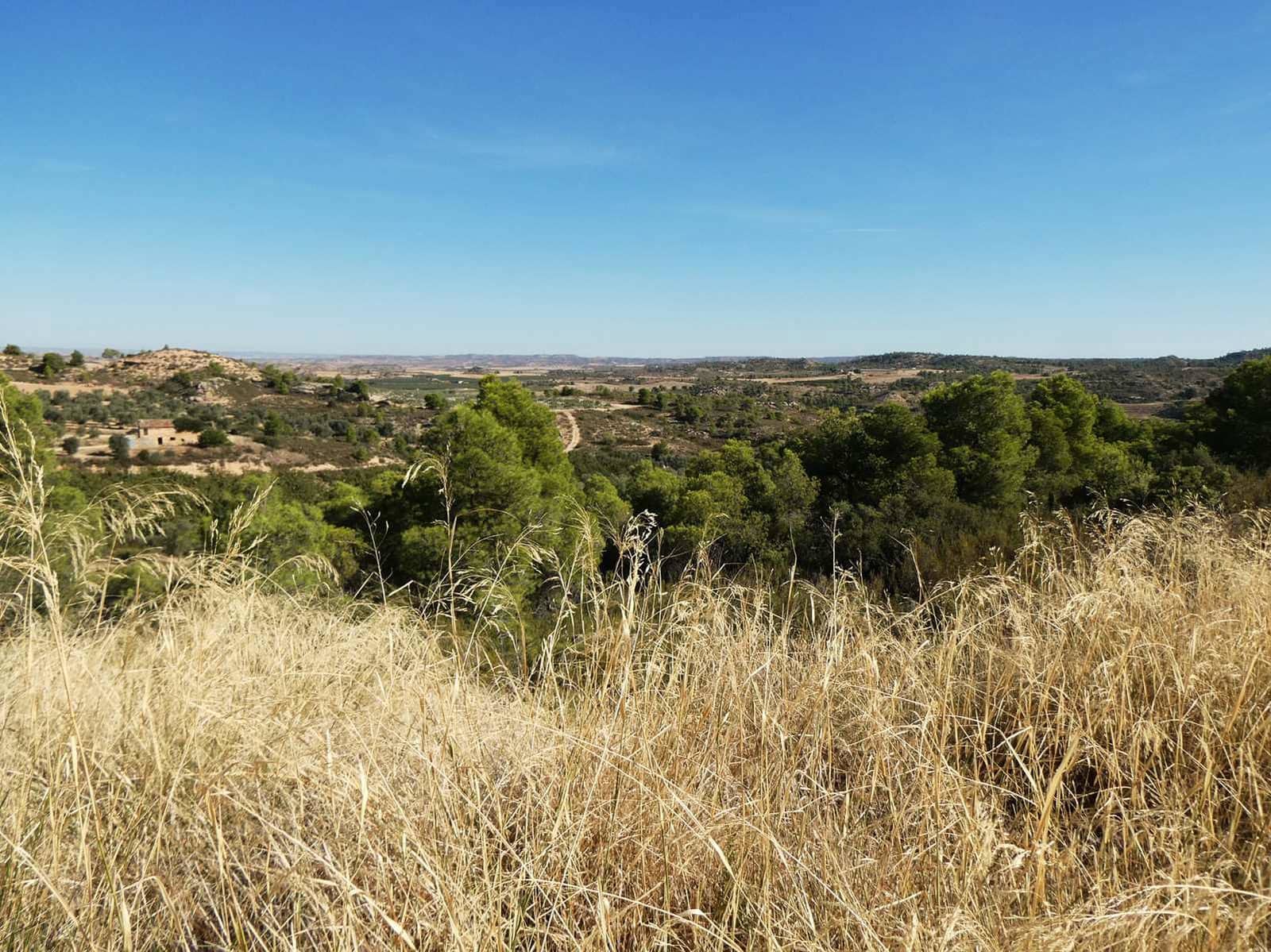 Finca/Casa di Campagna in vendita in Maella - 27.000 € (Rif: 10150139)