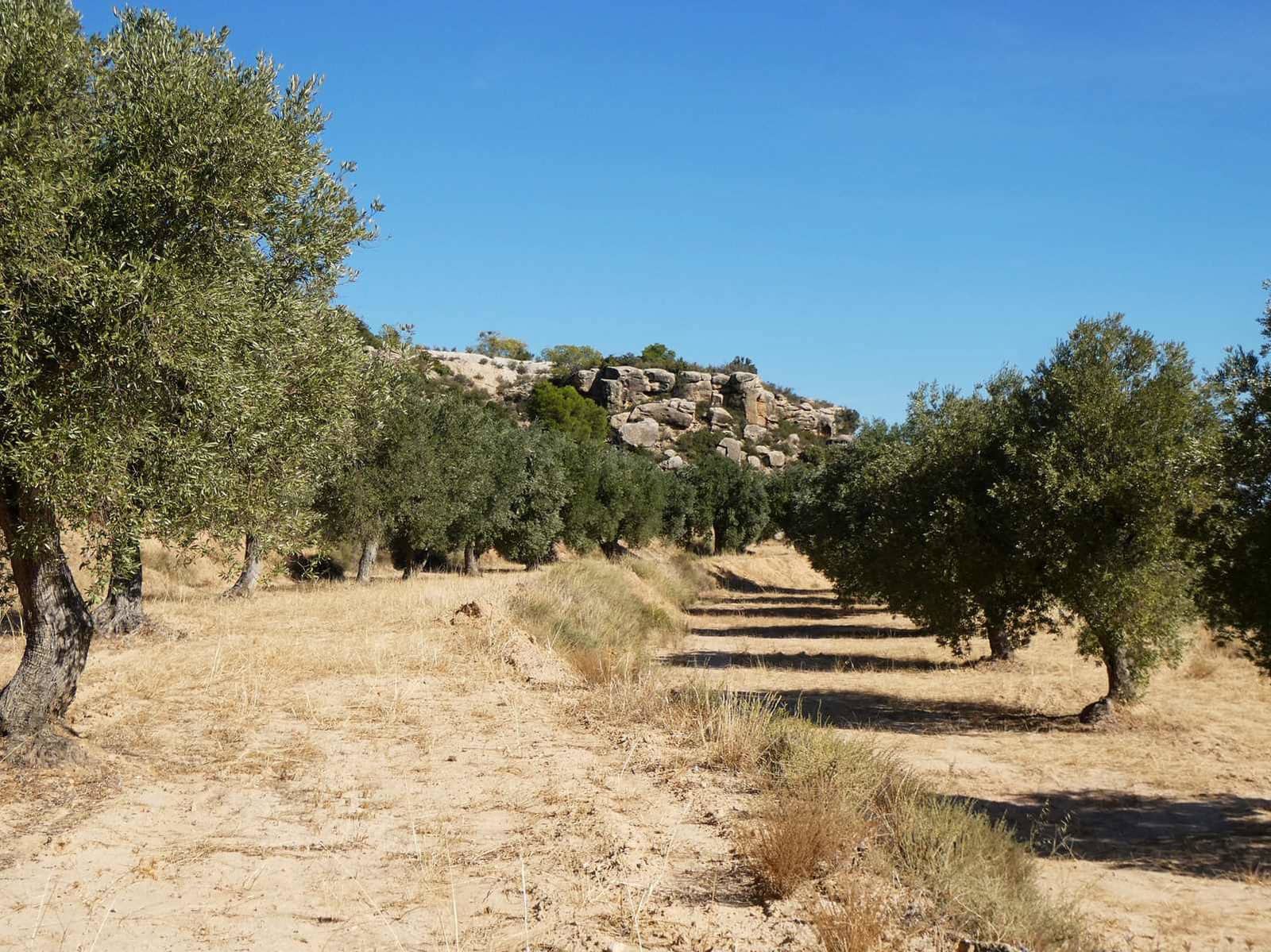 Finca/Casa di Campagna in vendita in Maella - 27.000 € (Rif: 10150139)