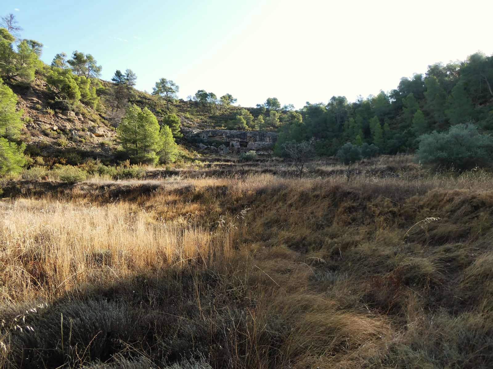 Finca/Landehus til salg i Maella - € 36.000 (Ref: 10150173)