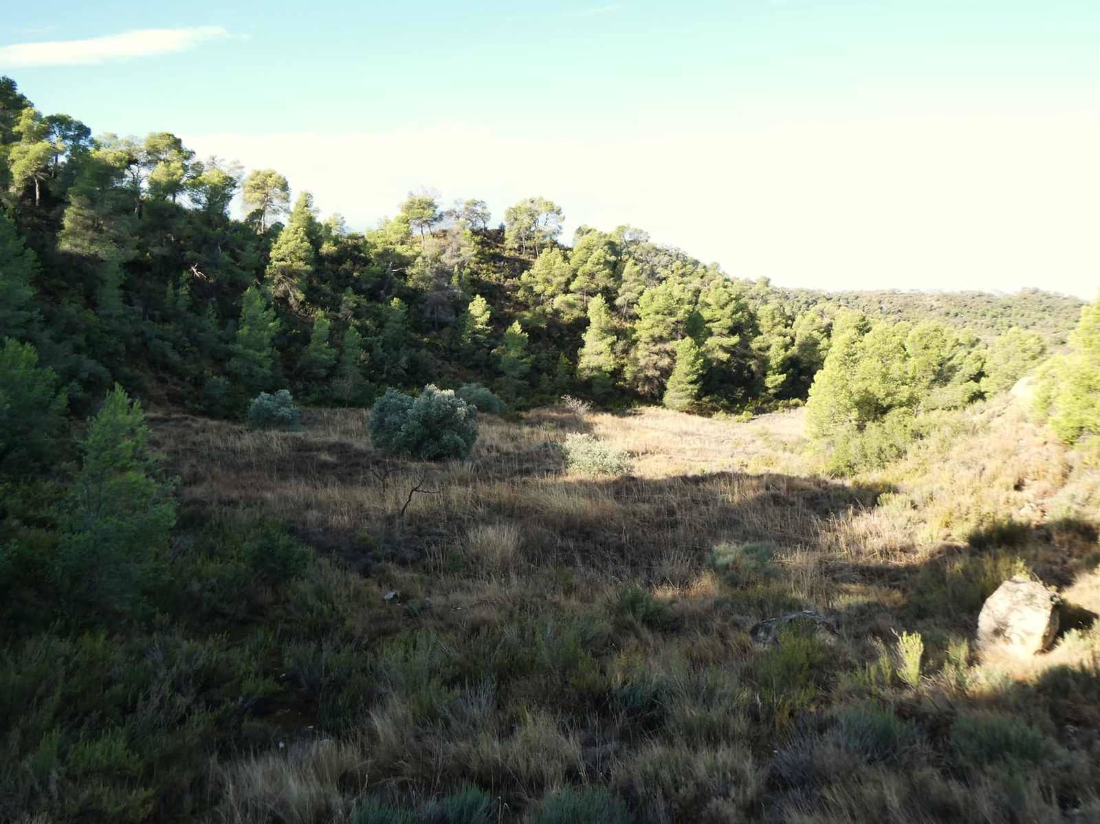 Finca/Landehus til salg i Maella - € 36.000 (Ref: 10150173)