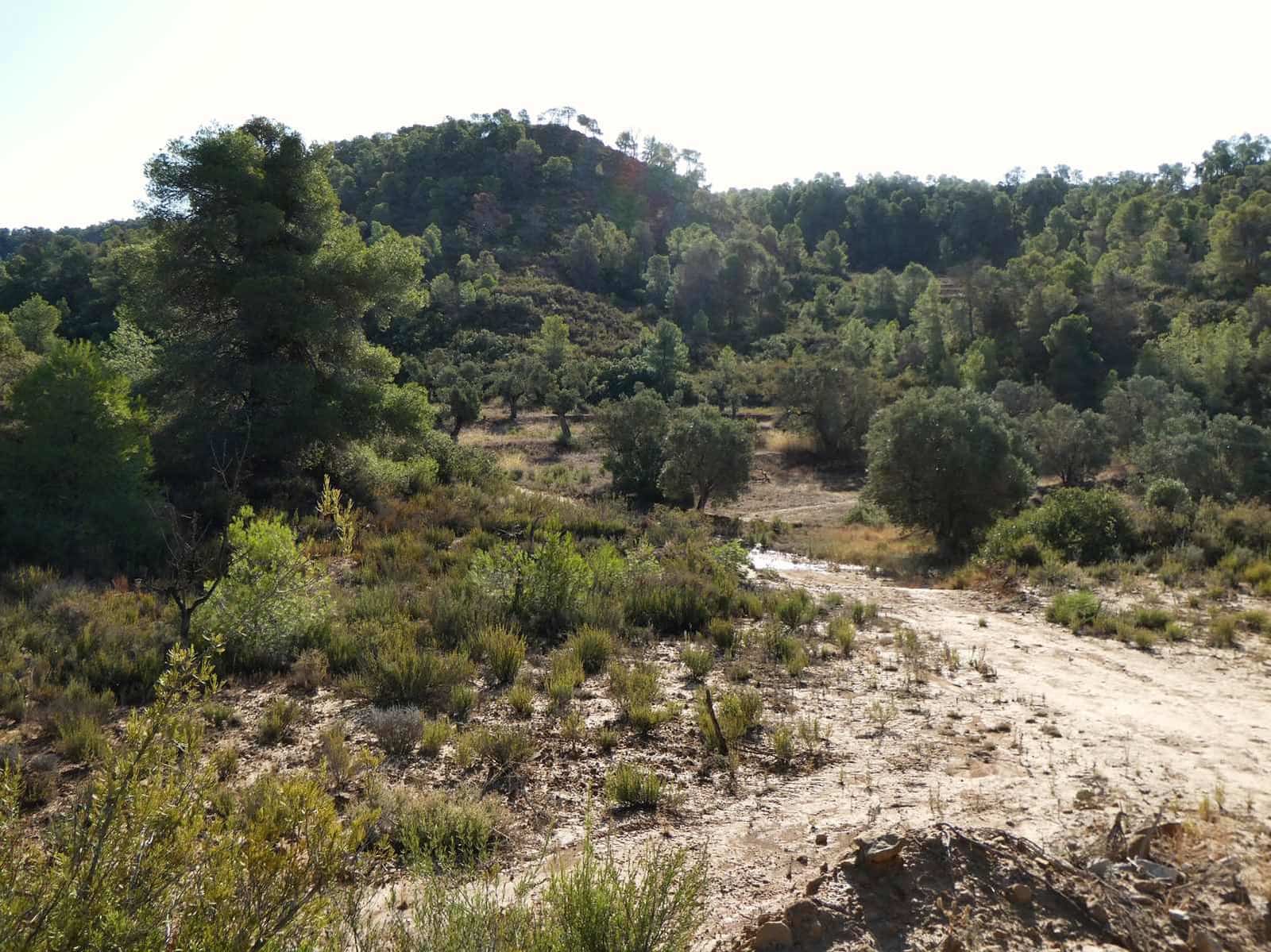 Finca/Landehus til salg i Maella - € 36.000 (Ref: 10150173)