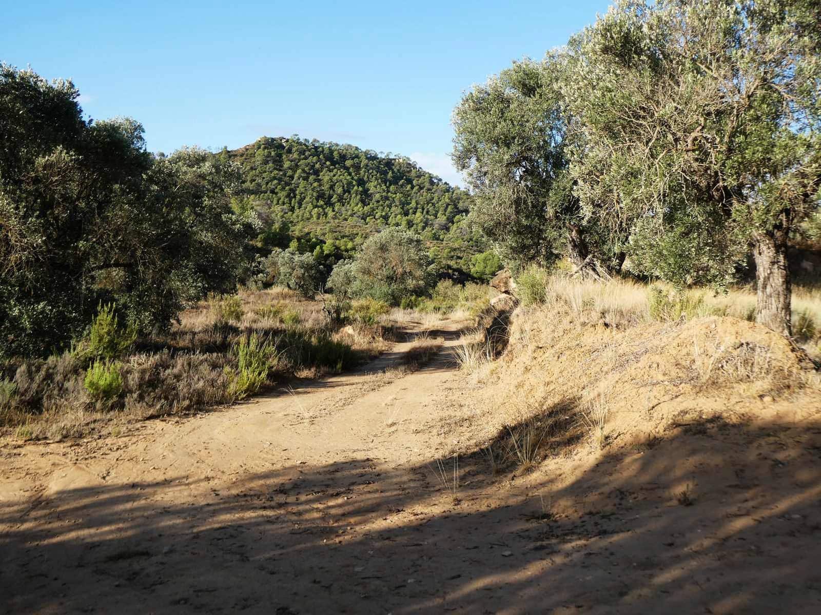Finca/Landehus til salg i Maella - € 36.000 (Ref: 10150173)