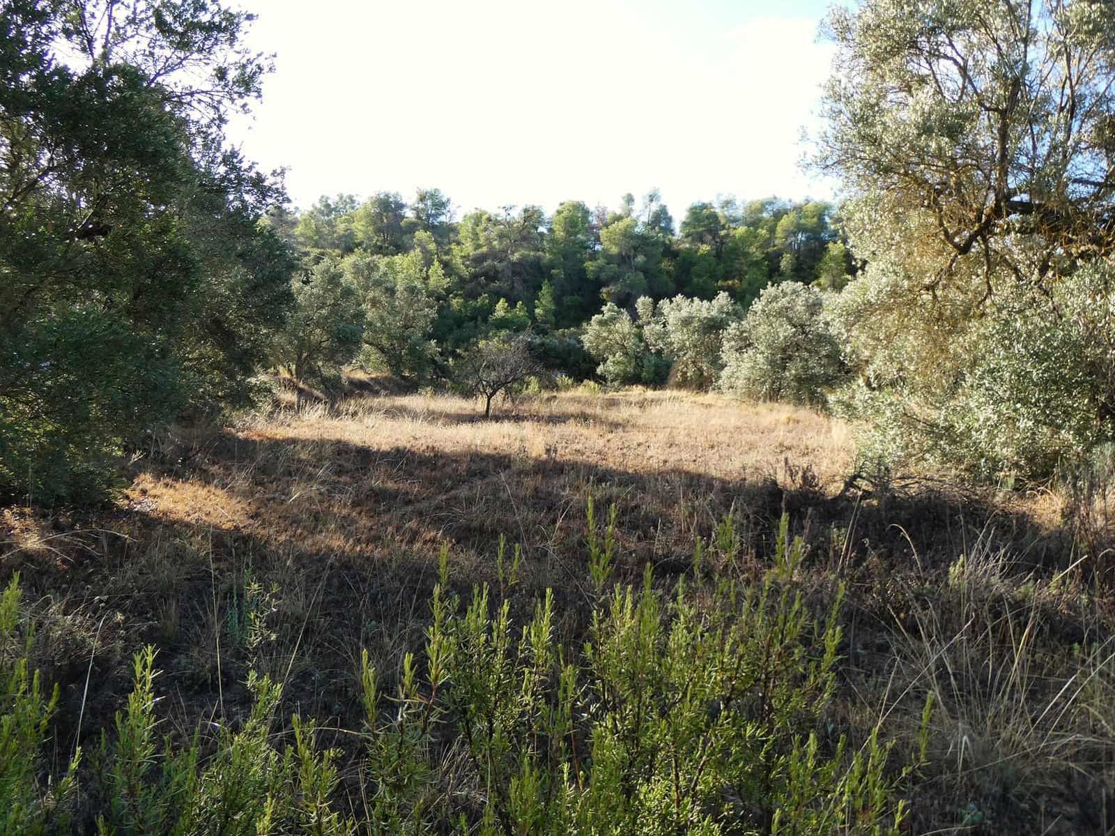 Finca/Landehus til salg i Maella - € 36.000 (Ref: 10150173)